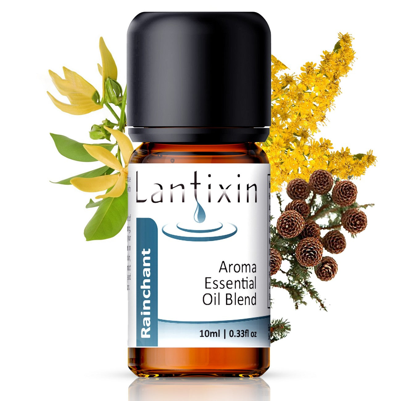 Lantixin Rainchant Essential Oils For Diffusers For Home - No Chemical Additives Safe For Kids and Pets - Osmanthus, Black Spruce And Ylang Ylang Aromatherapy Oils - Oil Scents For Home - 0.3 oz